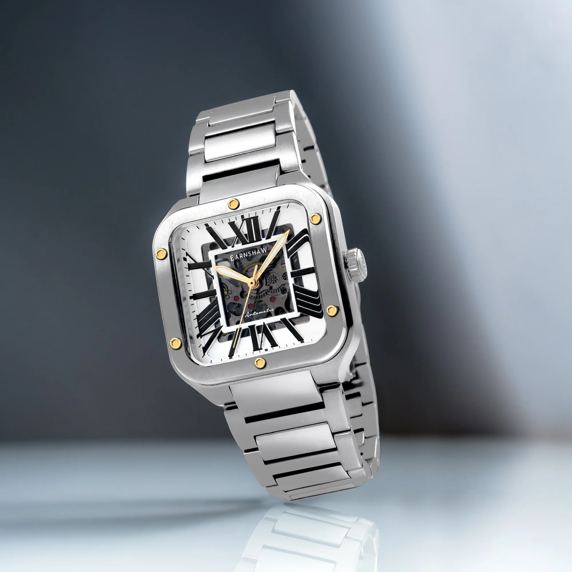 Silver Brown - Image 4