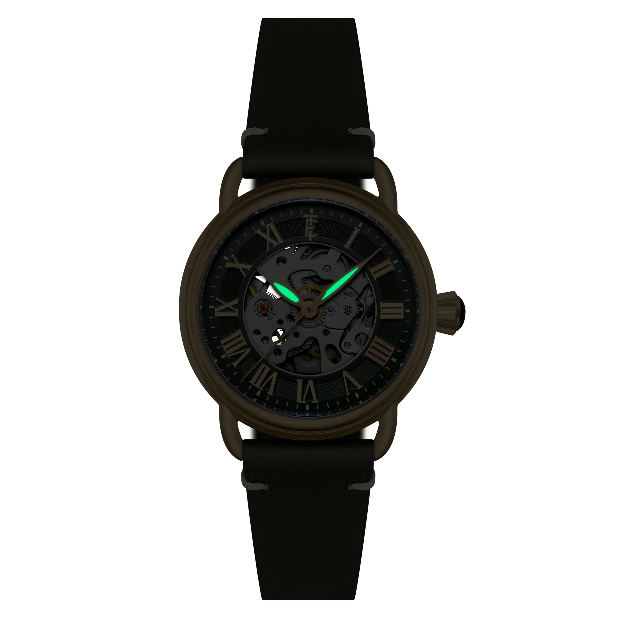 Fern Green - Image 5